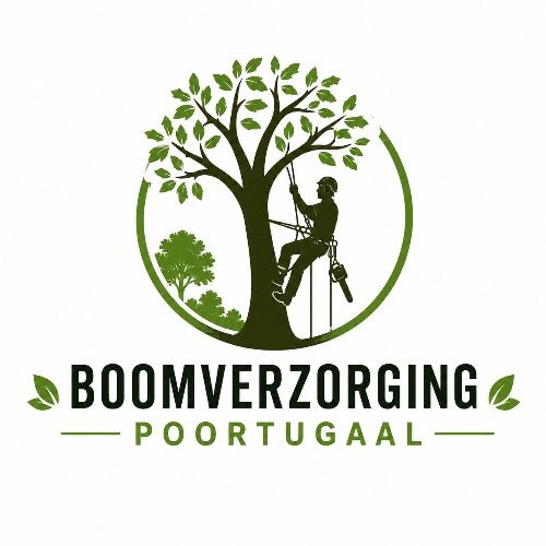Boomverzorging Poortugaal